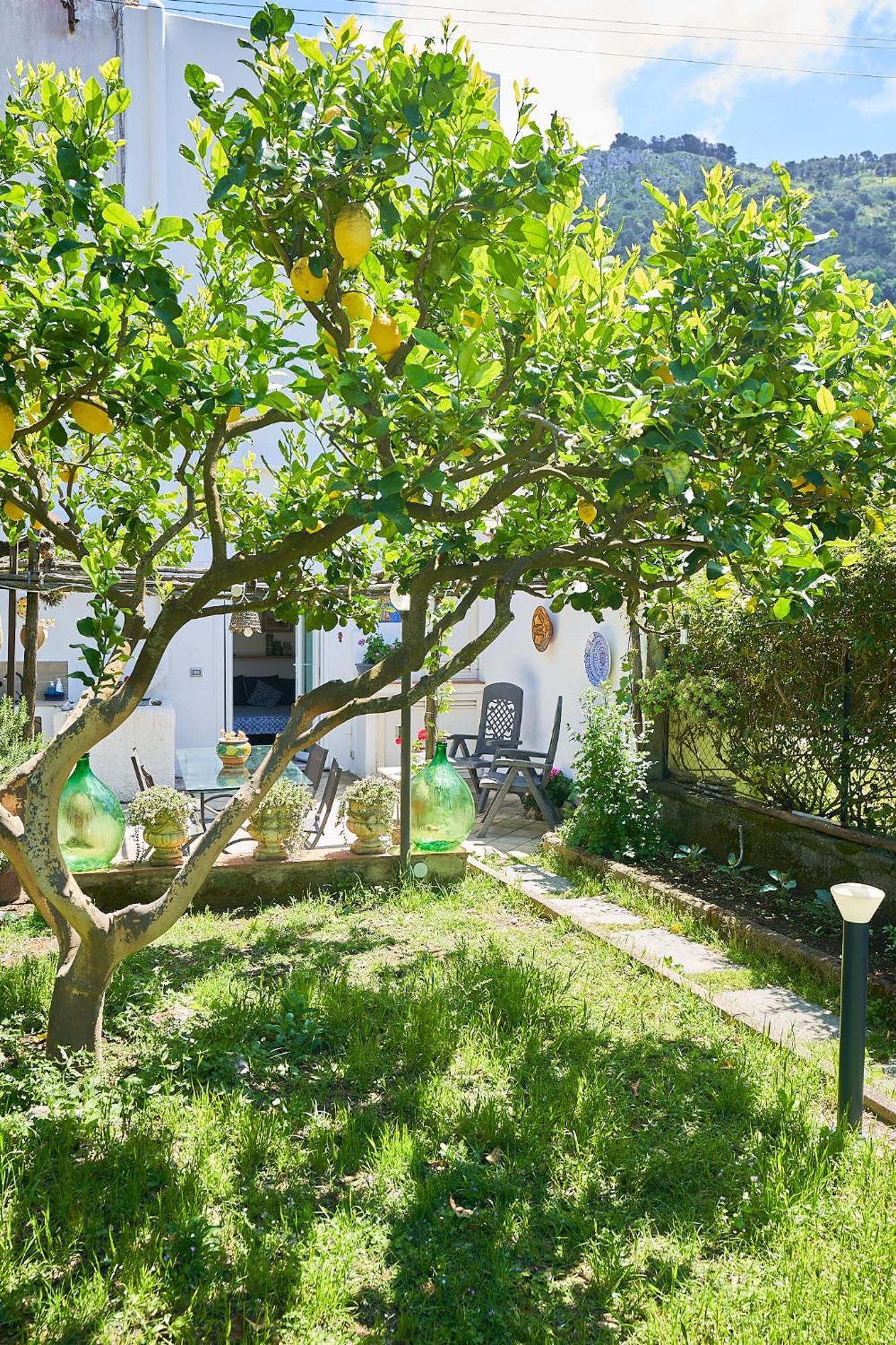Il Cellaio Hotel Anacapri  Exterior photo